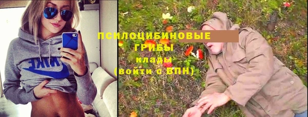 синтетический гашиш Бородино