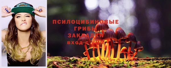 синтетический гашиш Бородино