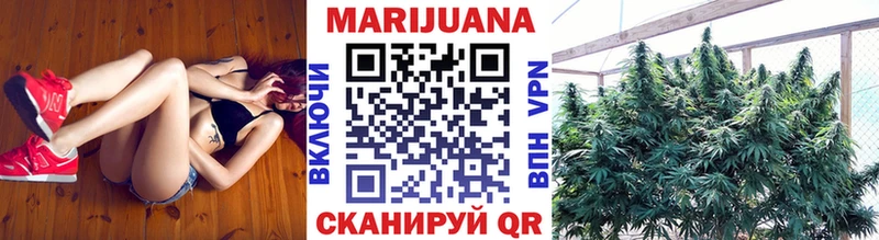 Бошки марихуана сатива  Печора 